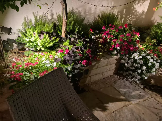 עיצוב גינה בבית פרטי 8